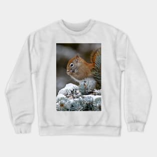 Red Squirrel Crewneck Sweatshirt